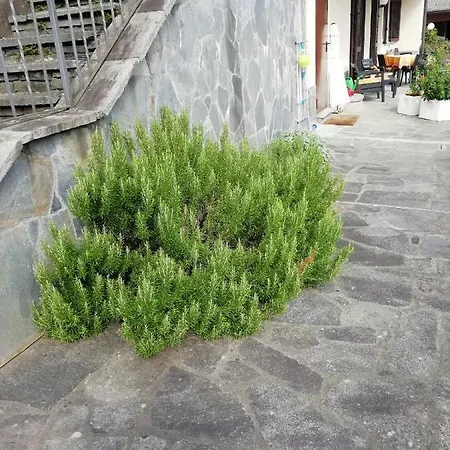 Ferienhaus Banfi